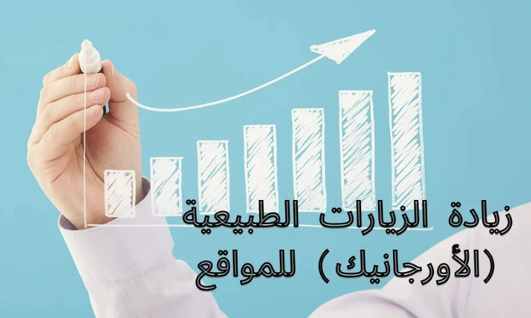 فوائد تحسين محركات البحث SEO فوائد تحسين محركات البحث SEO